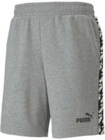 PUMA Amplified Shorts 9 TR Herren grau