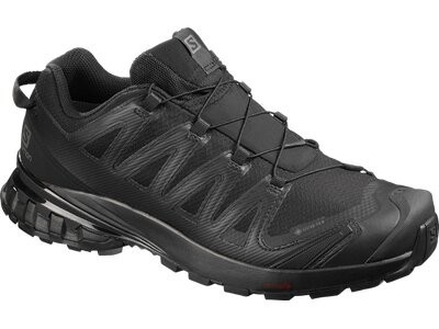 SALOMON XA PRO 3D 8V GTX HERREN