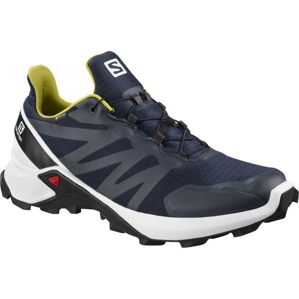SALOMON SUPERCROSS GTX HERREN