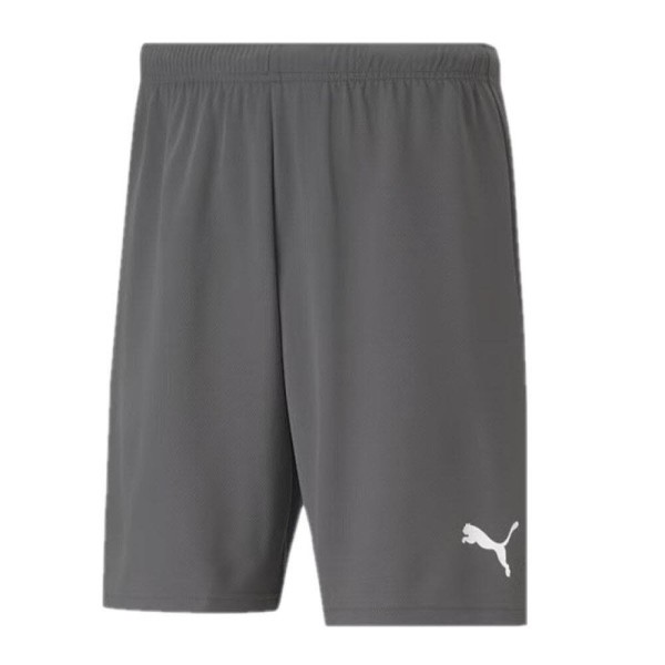 PUMA Teamrise Shorts grau - Bild 1