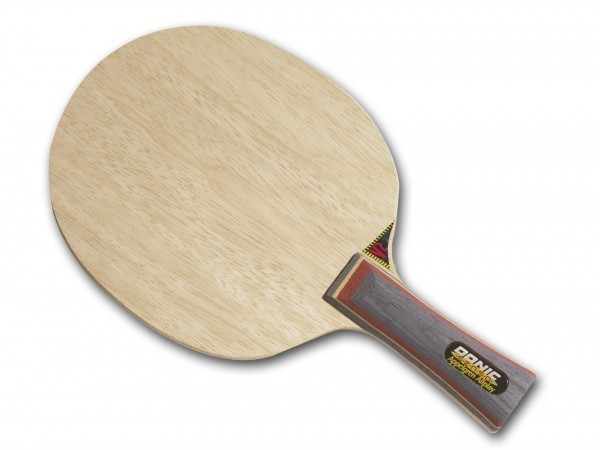 DONIC APPELGREN ALLPLAY SENSO V2